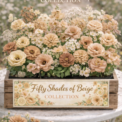 Collection - Fifty Shades of Beige