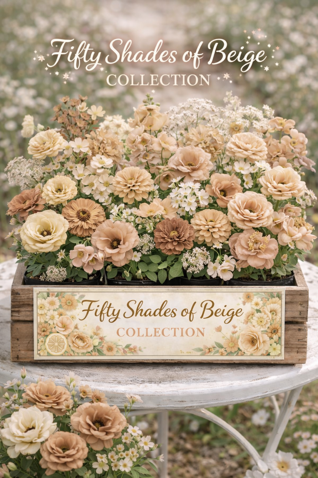 Collection - Fifty Shades of Beige