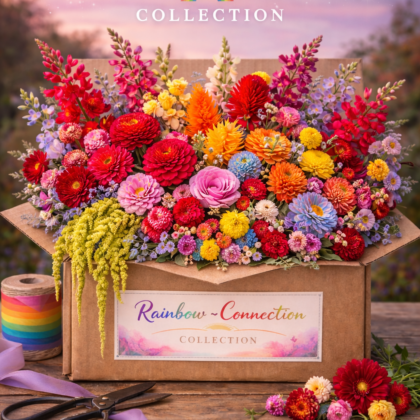 Collection - The Rainbow Connection