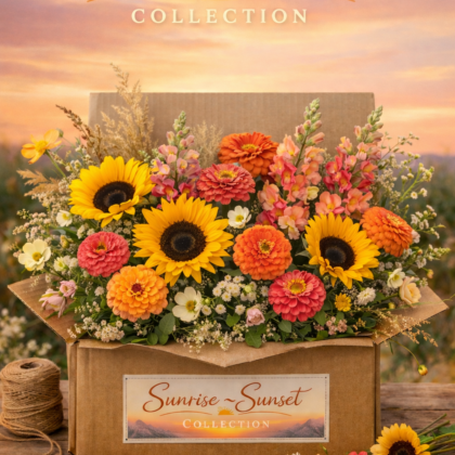 Collection - Sunrise to Sunset