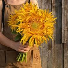 Sunflower - Just Crazy