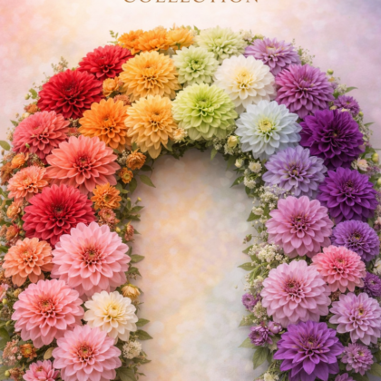 Collection - Full Spectrum Collection