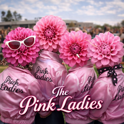 Collection - The Pink Ladies